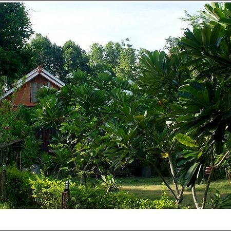 Phuphiangkhiangfah Resort نان الغرفة الصورة