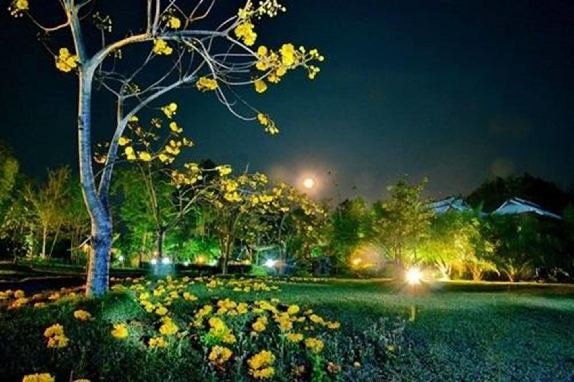 Phuphiangkhiangfah Resort نان المظهر الخارجي الصورة